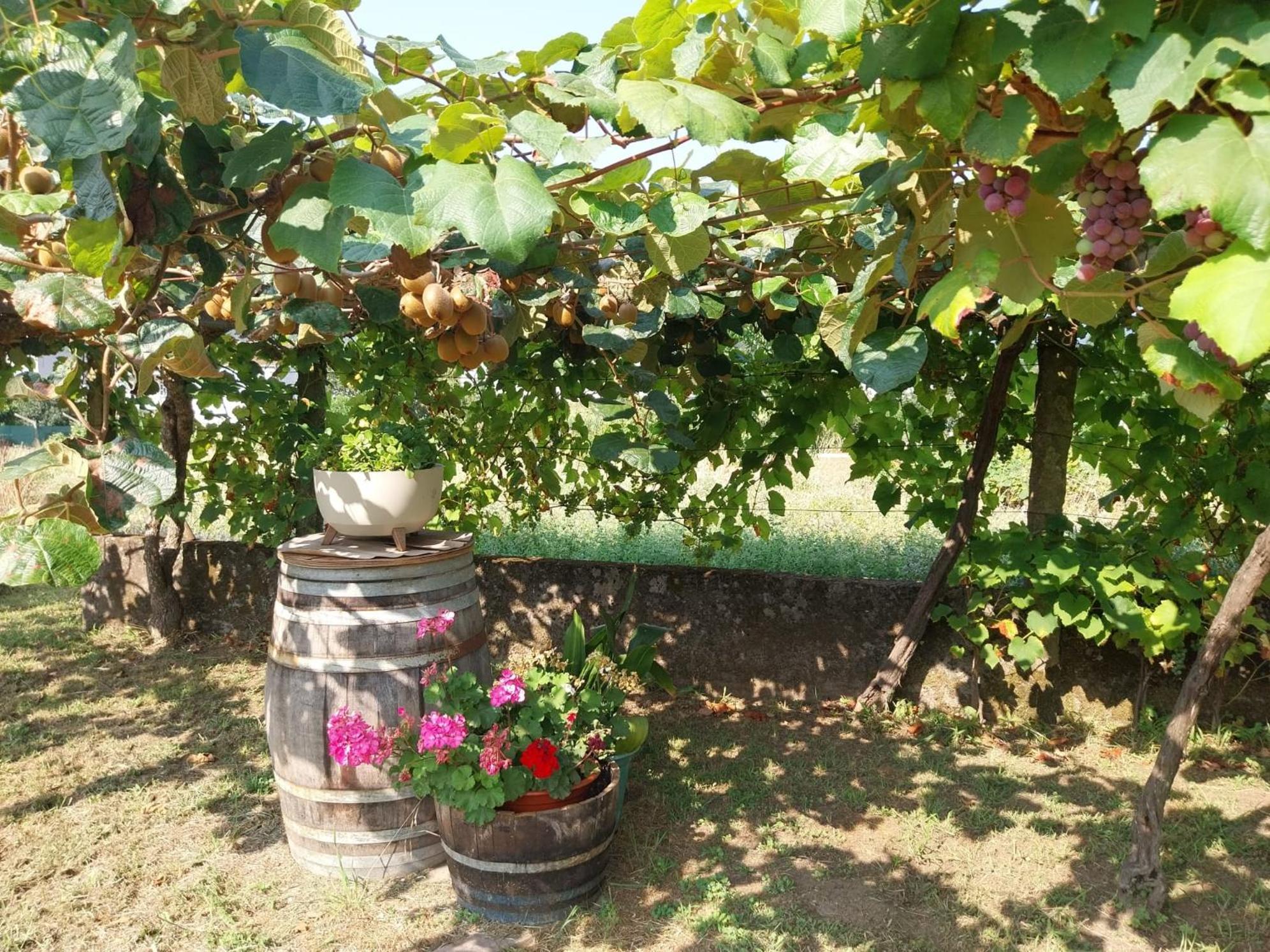 O Berce Padron Casa Rural Dış mekan fotoğraf